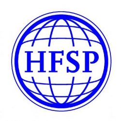 Great news! Ana has been awarded a HFSP Early Career Grant
