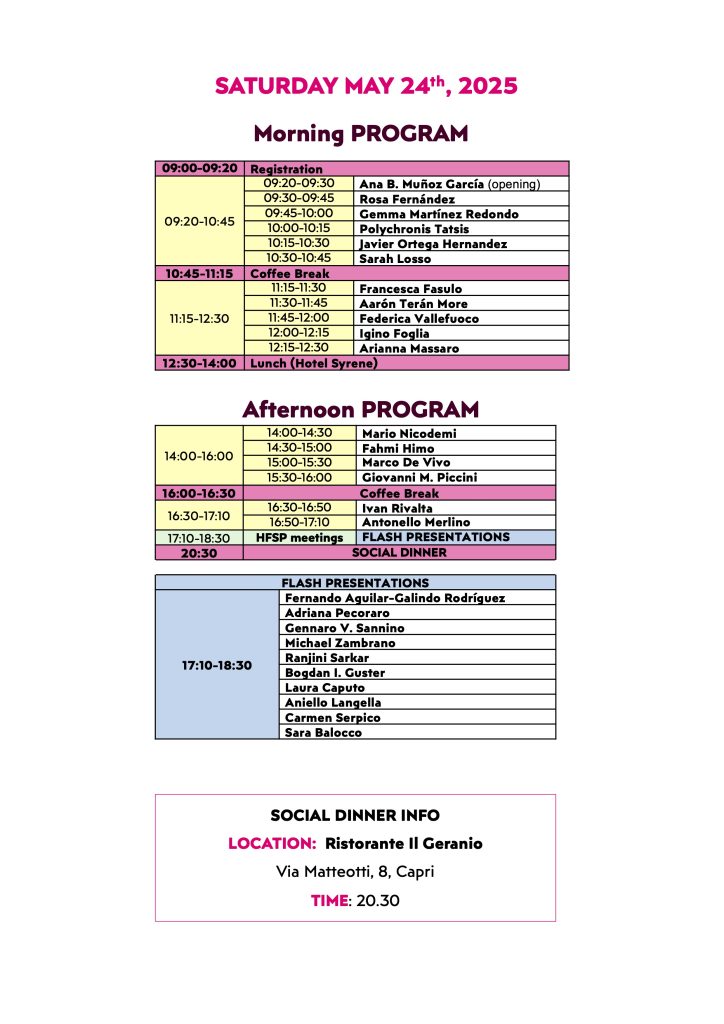 program of conference